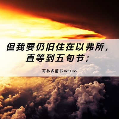 Picture 06 - 哥 林 多 前 书 16:8 CUVS - 但 我 要 仍 旧 住 在 以 弗 所 ， 直 - Bible Verse Picture