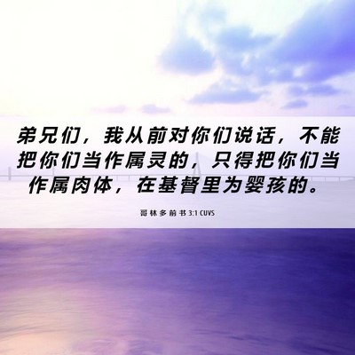 Picture 06 - 哥 林 多 前 书 3:1 CUVS - 弟 兄 们 ， 我 从 前 对 你 们 说 话 - Bible Verse Picture