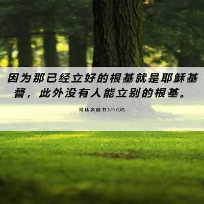 Picture 06 - 哥 林 多 前 书 3:11 CUVS - 因 为 那 已 经 立 好 的 根 基 就 是 - Bible Verse Picture