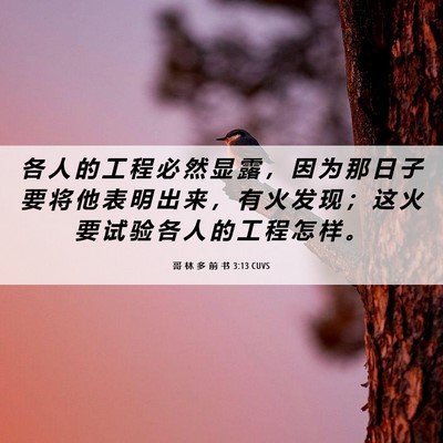 Picture 06 - 哥 林 多 前 书 3:13 CUVS - 各 人 的 工 程 必 然 显 露 ， 因 为 - Bible Verse Picture