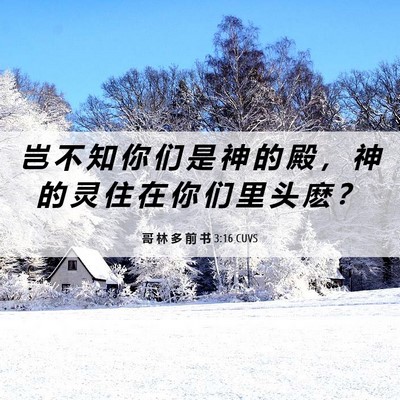 Picture 06 - 哥 林 多 前 书 3:16 CUVS - 岂 不 知 你 们 是 神 的 殿 ， 神 的 - Bible Verse Picture