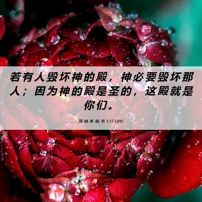 Picture 06 - 哥 林 多 前 书 3:17 CUVS - 若 有 人 毁 坏 神 的 殿 ， 神 必 要 - Bible Verse Picture