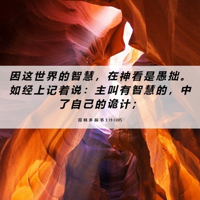 Picture 06 - 哥 林 多 前 书 3:19 CUVS - 因 这 世 界 的 智 慧 ， 在 神 看 是 - Bible Verse Picture