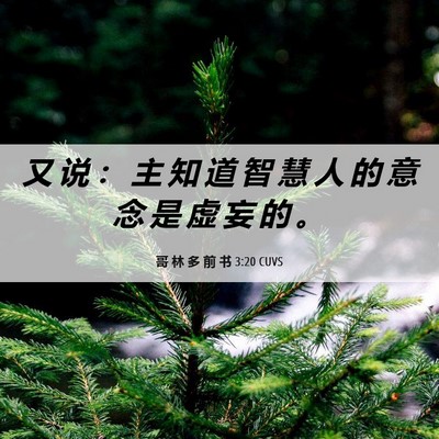 Picture 06 - 哥 林 多 前 书 3:20 CUVS - 又 说 ： 主 知 道 智 慧 人 的 意 念 - Bible Verse Picture