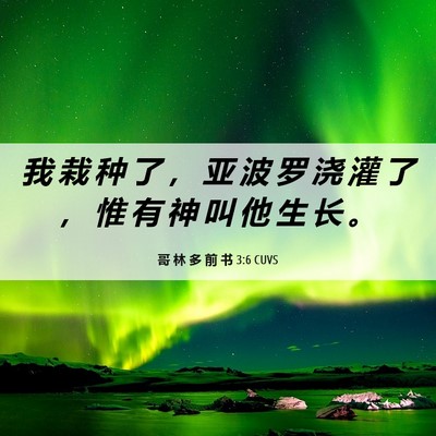 Picture 06 - 哥 林 多 前 书 3:6 CUVS - 我 栽 种 了 ， 亚 波 罗 浇 灌 了 ， - Bible Verse Picture