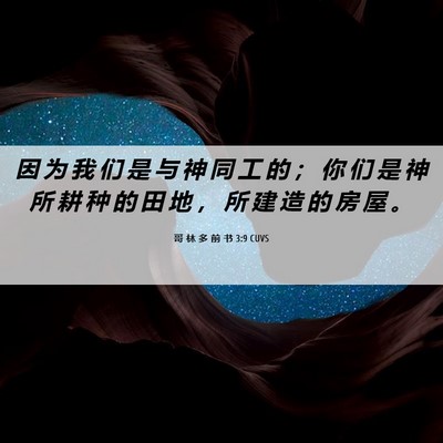 Picture 06 - 哥 林 多 前 书 3:9 CUVS - 因 为 我 们 是 与 神 同 工 的 ； 你 - Bible Verse Picture