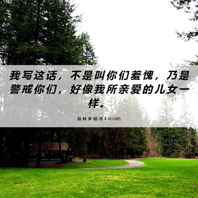 Picture 06 - 哥 林 多 前 书 4:14 CUVS - 我 写 这 话 ， 不 是 叫 你 们 羞 愧 - Bible Verse Picture