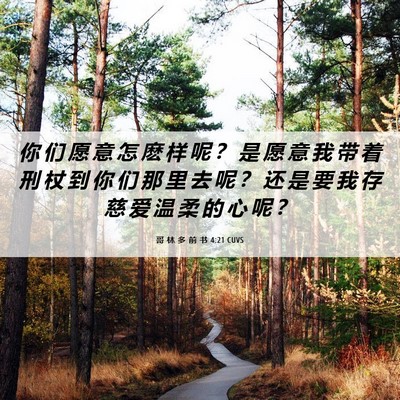 Picture 06 - 哥 林 多 前 书 4:21 CUVS - 你 们 愿 意 怎 麽 样 呢 ？ 是 愿 意 - Bible Verse Picture