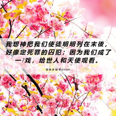 Picture 06 - 哥 林 多 前 书 4:9 CUVS - 我 想 神 把 我 们 使 徒 明 明 列 在 - Bible Verse Picture