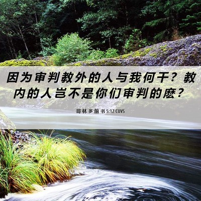Picture 06 - 哥 林 多 前 书 5:12 CUVS - 因 为 审 判 教 外 的 人 与 我 何 干 - Bible Verse Picture