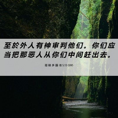 Picture 06 - 哥 林 多 前 书 5:13 CUVS - 至 於 外 人 有 神 审 判 他 们 。 你 - Bible Verse Picture