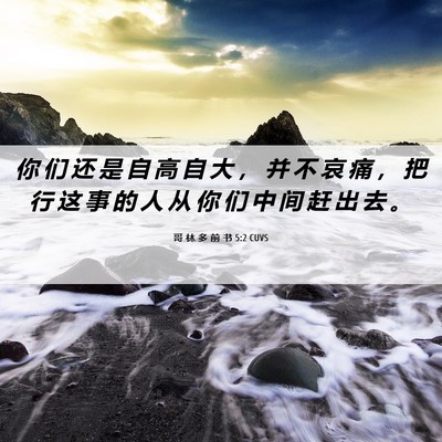 Picture 06 - 哥 林 多 前 书 5:2 CUVS - 你 们 还 是 自 高 自 大 ， 并 不 哀 - Bible Verse Picture