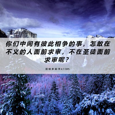 Picture 06 - 哥 林 多 前 书 6:1 CUVS - 你 们 中 间 有 彼 此 相 争 的 事 ， - Bible Verse Picture