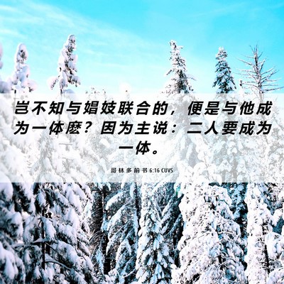 Picture 06 - 哥 林 多 前 书 6:16 CUVS - 岂 不 知 与 娼 妓 联 合 的 ， 便 是 - Bible Verse Picture