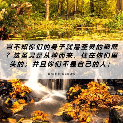 Picture 06 - 哥 林 多 前 书 6:19 CUVS - 岂 不 知 你 们 的 身 子 就 是 圣 灵 - Bible Verse Picture