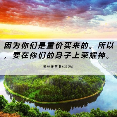 Picture 06 - 哥 林 多 前 书 6:20 CUVS - 因 为 你 们 是 重 价 买 来 的 。 所 - Bible Verse Picture