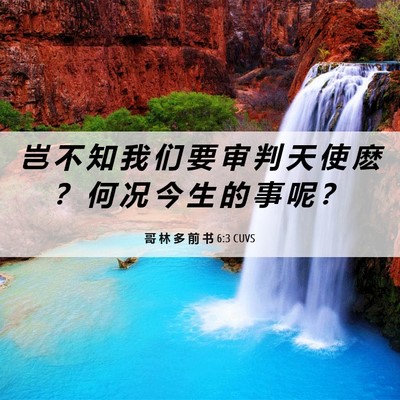 Picture 06 - 哥 林 多 前 书 6:3 CUVS - 岂 不 知 我 们 要 审 判 天 使 麽 ？ - Bible Verse Picture