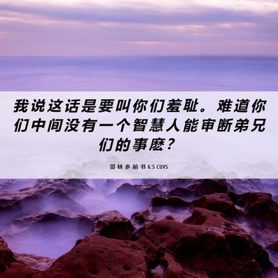 Picture 06 - 哥 林 多 前 书 6:5 CUVS - 我 说 这 话 是 要 叫 你 们 羞 耻 。 - Bible Verse Picture