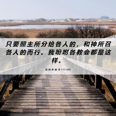Picture 06 - 哥 林 多 前 书 7:17 CUVS - 只 要 照 主 所 分 给 各 人 的 ， 和 - Bible Verse Picture
