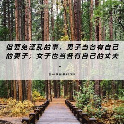 Picture 06 - 哥 林 多 前 书 7:2 CUVS - 但 要 免 淫 乱 的 事 ， 男 子 当 各 - Bible Verse Picture