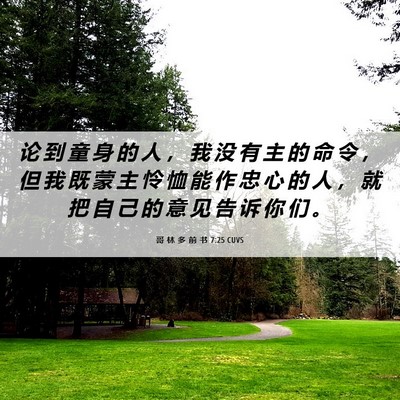 Picture 06 - 哥 林 多 前 书 7:25 CUVS - 论 到 童 身 的 人 ， 我 没 有 主 的 - Bible Verse Picture