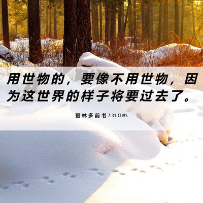 Picture 06 - 哥 林 多 前 书 7:31 CUVS - 用 世 物 的 ， 要 像 不 用 世 物 ， - Bible Verse Picture