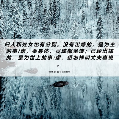 Picture 06 - 哥 林 多 前 书 7:34 CUVS - 妇 人 和 处 女 也 有 分 别 。 没 有 - Bible Verse Picture