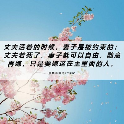 Picture 06 - 哥 林 多 前 书 7:39 CUVS - 丈 夫 活 着 的 时 候 ， 妻 子 是 被 - Bible Verse Picture