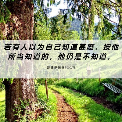 Picture 06 - 哥 林 多 前 书 8:2 CUVS - 若 有 人 以 为 自 己 知 道 甚 麽 ， - Bible Verse Picture