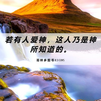 Picture 06 - 哥 林 多 前 书 8:3 CUVS - 若 有 人 爱 神 ， 这 人 乃 是 神 所 - Bible Verse Picture