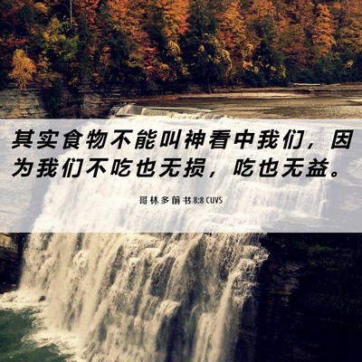 Picture 06 - 哥 林 多 前 书 8:8 CUVS - 其 实 食 物 不 能 叫 神 看 中 我 们 - Bible Verse Picture