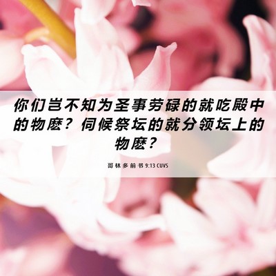 Picture 06 - 哥 林 多 前 书 9:13 CUVS - 你 们 岂 不 知 为 圣 事 劳 碌 的 就 - Bible Verse Picture