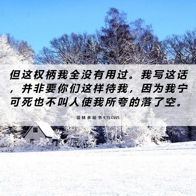 Picture 06 - 哥 林 多 前 书 9:15 CUVS - 但 这 权 柄 我 全 没 有 用 过 。 我 - Bible Verse Picture