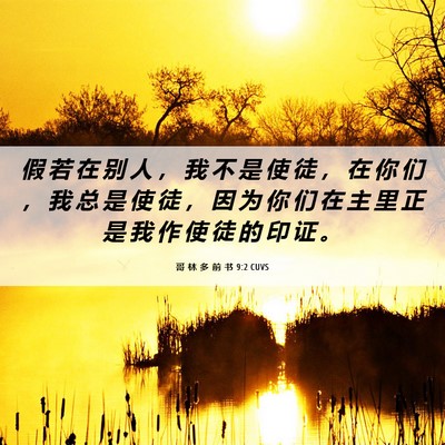 Picture 06 - 哥 林 多 前 书 9:2 CUVS - 假 若 在 别 人 ， 我 不 是 使 徒 ， - Bible Verse Picture