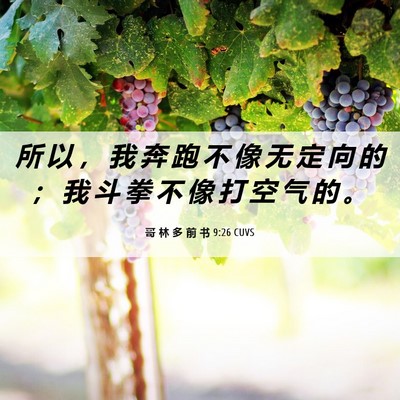 Picture 06 - 哥 林 多 前 书 9:26 CUVS - 所 以 ， 我 奔 跑 不 像 无 定 向 的 - Bible Verse Picture