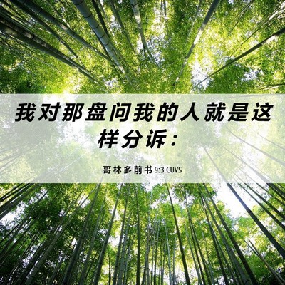 Picture 06 - 哥 林 多 前 书 9:3 CUVS - 我 对 那 盘 问 我 的 人 就 是 这 样 - Bible Verse Picture