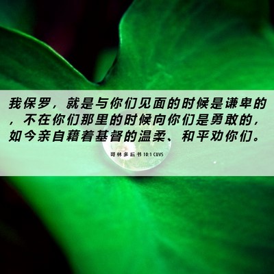 Picture 06 - 哥 林 多 后 书 10:1 CUVS - 我 保 罗 ， 就 是 与 你 们 见 面 的 - Bible Verse Picture