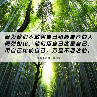 Picture 06 - 哥 林 多 后 书 10:12 CUVS - 因 为 我 们 不 敢 将 自 己 和 那 自 - Bible Verse Picture
