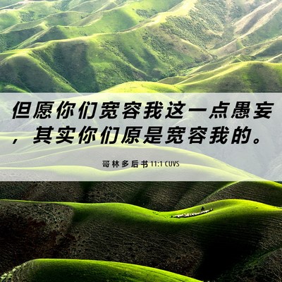Picture 06 - 哥 林 多 后 书 11:1 CUVS - 但 愿 你 们 宽 容 我 这 一 点 愚 妄 - Bible Verse Picture
