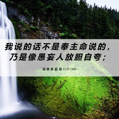 Picture 06 - 哥 林 多 后 书 11:17 CUVS - 我 说 的 话 不 是 奉 主 命 说 的 ， - Bible Verse Picture