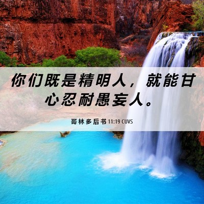 Picture 06 - 哥 林 多 后 书 11:19 CUVS - 你 们 既 是 精 明 人 ， 就 能 甘 心 - Bible Verse Picture
