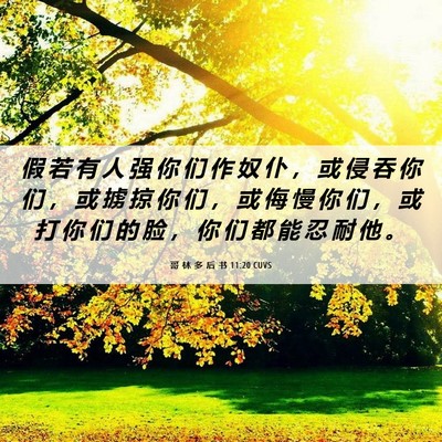 Picture 06 - 哥 林 多 后 书 11:20 CUVS - 假 若 有 人 强 你 们 作 奴 仆 ， 或 - Bible Verse Picture
