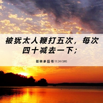 Picture 06 - 哥 林 多 后 书 11:24 CUVS - 被 犹 太 人 鞭 打 五 次 ， 每 次 四 - Bible Verse Picture