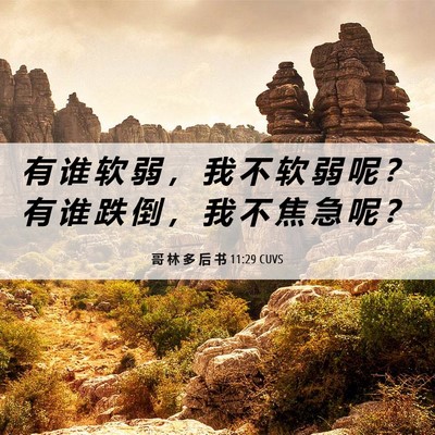 Picture 06 - 哥 林 多 后 书 11:29 CUVS - 有 谁 软 弱 ， 我 不 软 弱 呢 ？ 有 - Bible Verse Picture