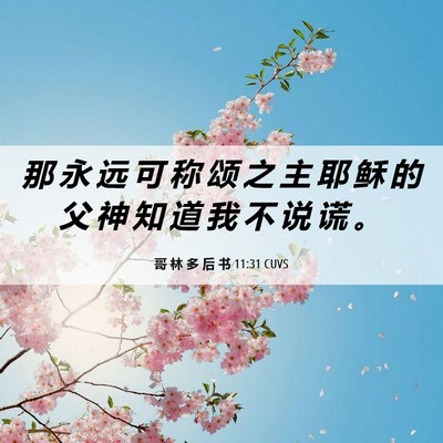 Picture 06 - 哥 林 多 后 书 11:31 CUVS - 那 永 远 可 称 颂 之 主 耶 稣 的 父 - Bible Verse Picture