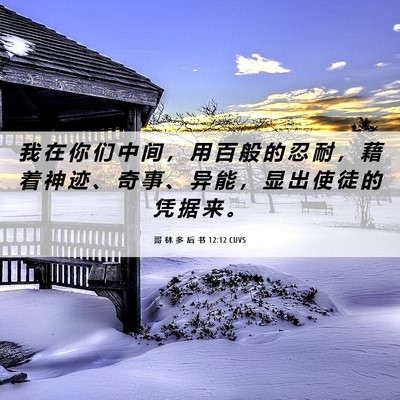Picture 06 - 哥 林 多 后 书 12:12 CUVS - 我 在 你 们 中 间 ， 用 百 般 的 忍 - Bible Verse Picture