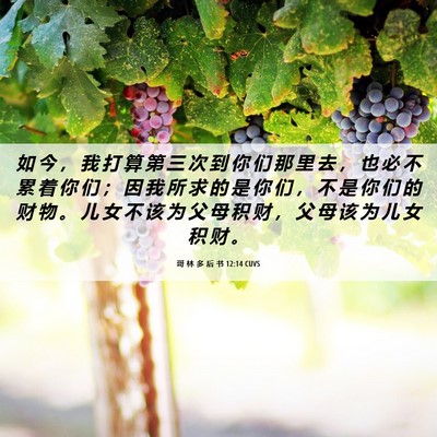 Picture 06 - 哥 林 多 后 书 12:14 CUVS - 如 今 ， 我 打 算 第 三 次 到 你 们 - Bible Verse Picture