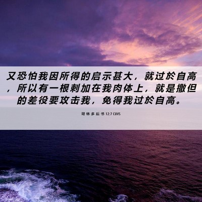 Picture 06 - 哥 林 多 后 书 12:7 CUVS - 又 恐 怕 我 因 所 得 的 启 示 甚 大 - Bible Verse Picture