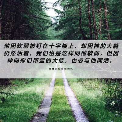 Picture 06 - 哥 林 多 后 书 13:4 CUVS - 他 因 软 弱 被 钉 在 十 字 架 上 ， - Bible Verse Picture