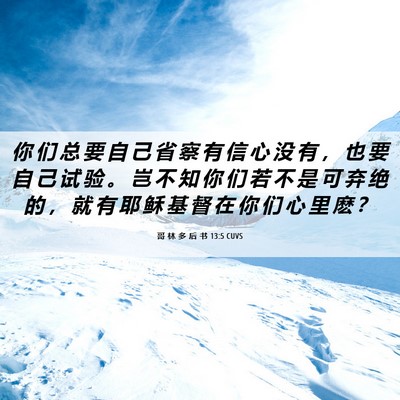 Picture 06 - 哥 林 多 后 书 13:5 CUVS - 你 们 总 要 自 己 省 察 有 信 心 没 - Bible Verse Picture